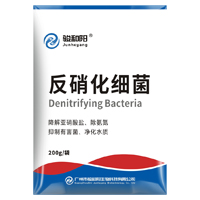 反硝化细菌 200g/袋